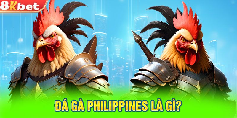 Đá gà Philippines thu hút người dân địa phương và du khách quốc tế