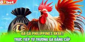 Đá Gà Philippines – Môn Thể Thao Vua Tại Nhà Cái 8KBET